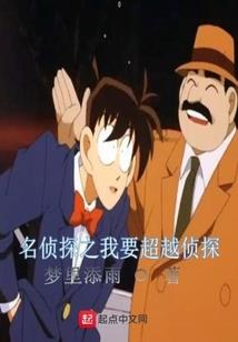 风浪天气的湖泊