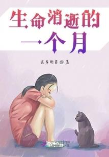 什么天气预报看风向