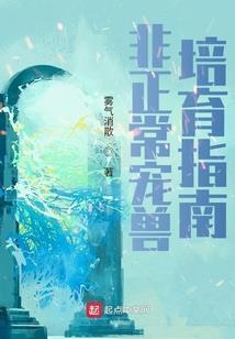 荆州2019年天气情况