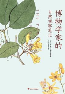 狗狗天气突变怎么办