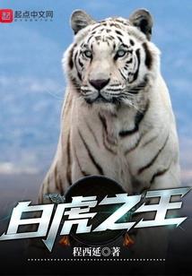 丹尼斯明天天气