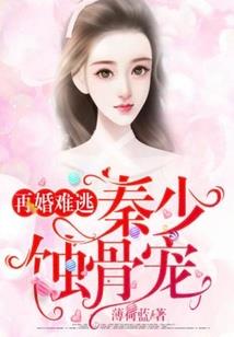 聊城南郊天气预报