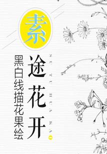 儋州上周天气情况回顾图