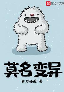 1月11号天气