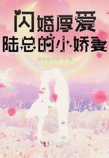 诸葛网天气