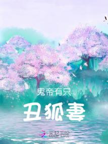 相机里面怎么添加天气