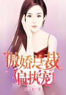 如何形容百色天气