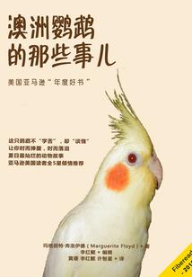 聊城市恶劣天气情况