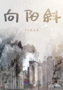 旧金山近期天气情况