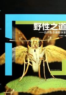 立春后15天天气预报