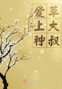 梧州周末天气怎么样