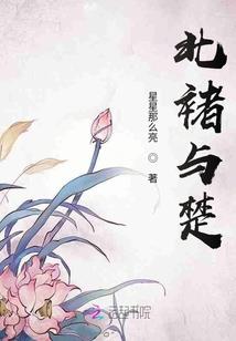 沙市逐时天气预报