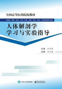 2023年清明的天气