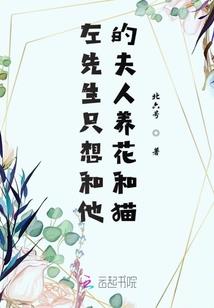 天气预报天气汽