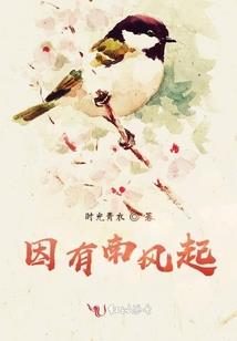 西雅图天气丹眼霜