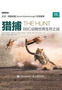 西安市2024年1月重污染天气