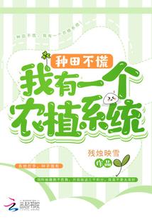 去年清明时节天气如何