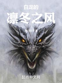 深圳四号天气预报