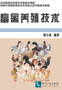 新疆千年天气预报查询表