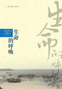 怎么把天气调成黑夜模式