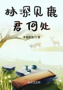 乌兰木通大草原天气
