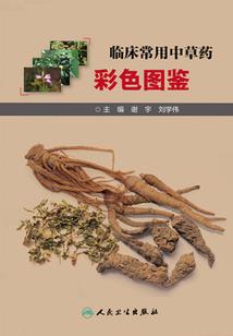 一年有哪24个天气