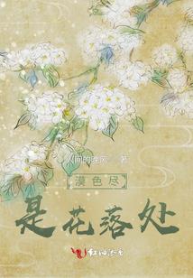 天气怎么显示灵动岛