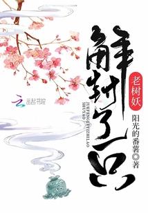 十五天天气阜南