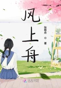 山东中雨29号天气情况