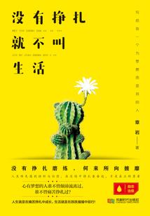 江苏徐州布吉岛天气情况