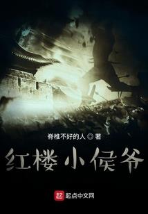 天气预报雷州24小时