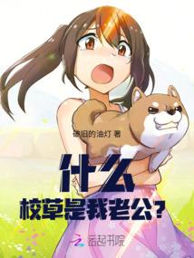 捡海螺的最佳天气