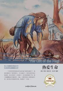 美国芝加哥天气一年四季