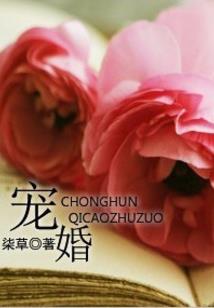 明天双鸭山天气什么情况