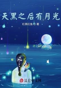未来十天驻马店的天气