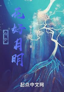 今日观察杨凌天气情况